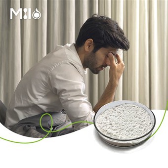 Gamma Oryzanol Powder